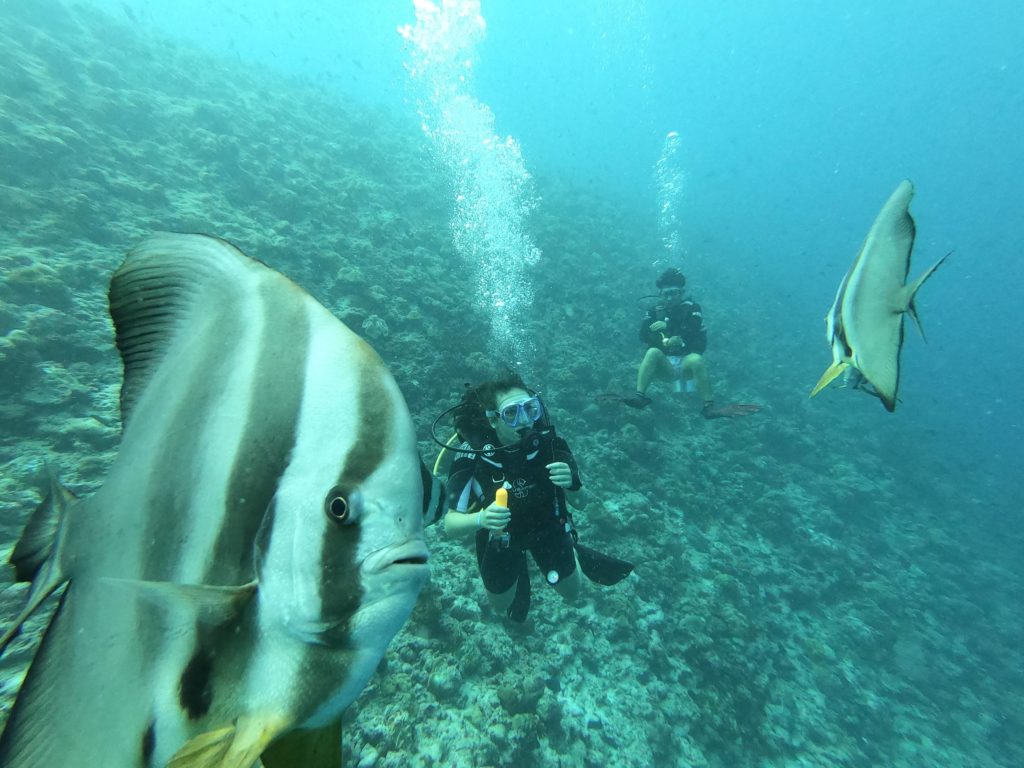 plongée sous marine aux maldives